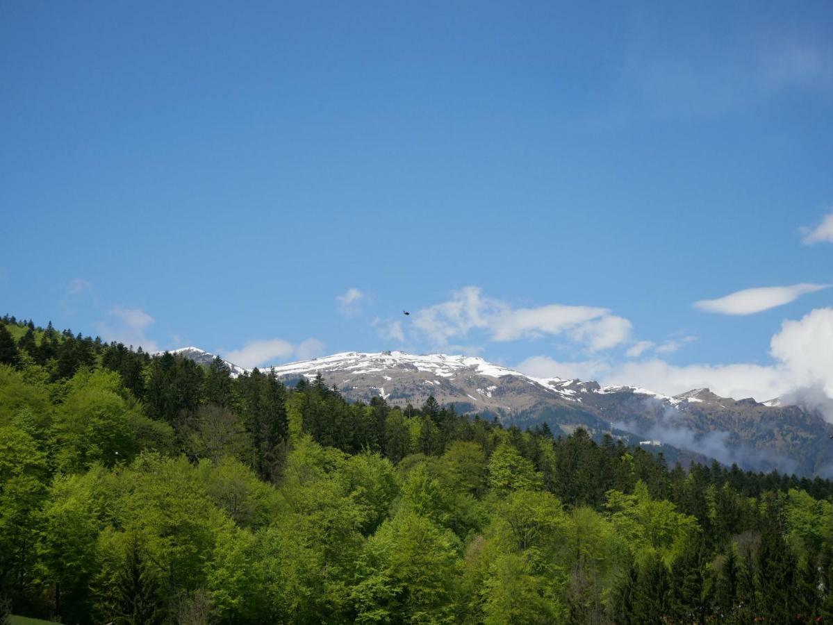 Apartamento Riky Apart Mountain View Sinaia Exterior foto