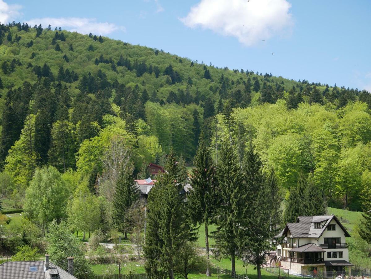Apartamento Riky Apart Mountain View Sinaia Exterior foto