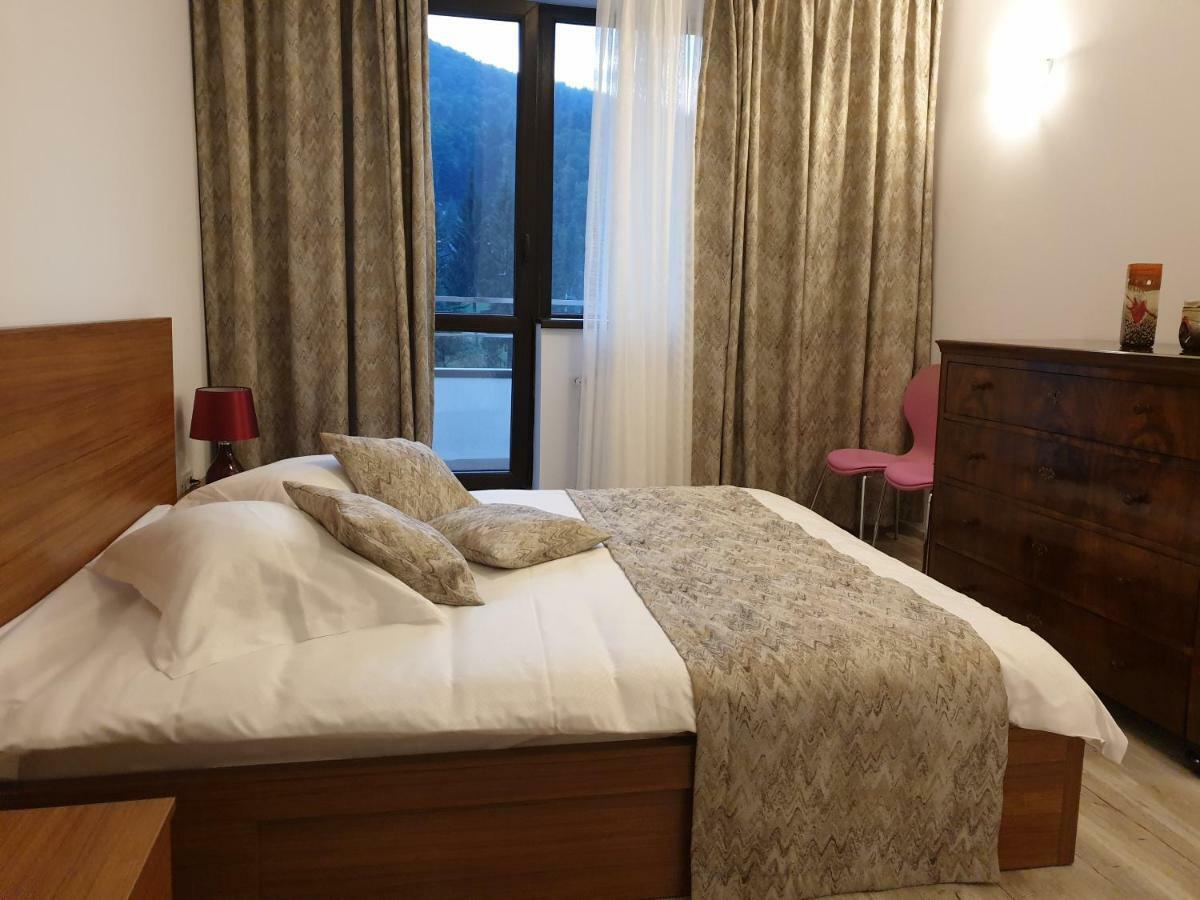 Apartamento Riky Apart Mountain View Sinaia Exterior foto