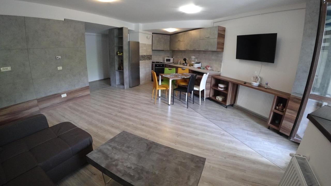 Apartamento Riky Apart Mountain View Sinaia Exterior foto